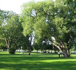 Strathcona Park, Ottawa. Photo by Mike Buckthought.